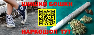 шишки Новодвинск