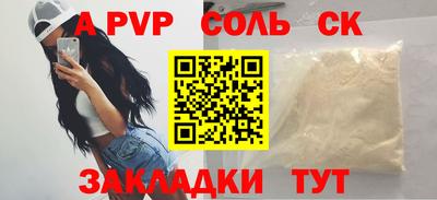 шишки Новодвинск