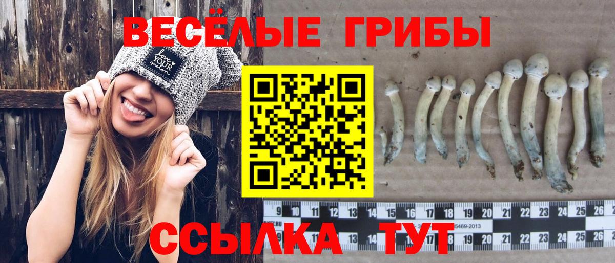 Галлюциногенные грибы GOLDEN TEACHER  Галлюциногенные грибы прущие грибы  Усолье-Сибирское  Вход с VPN 