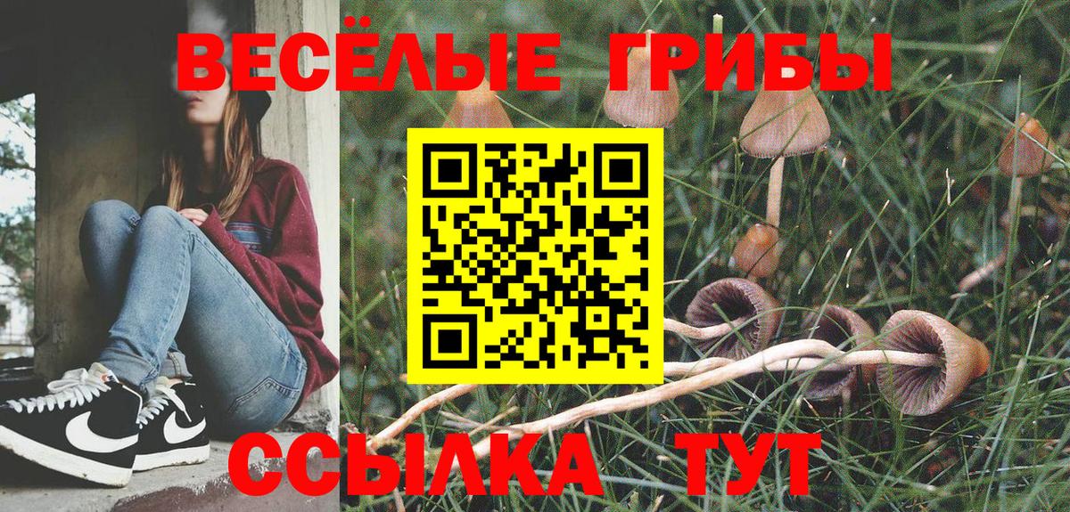 Галлюциногенные грибы Magic Shrooms  Усолье-Сибирское 