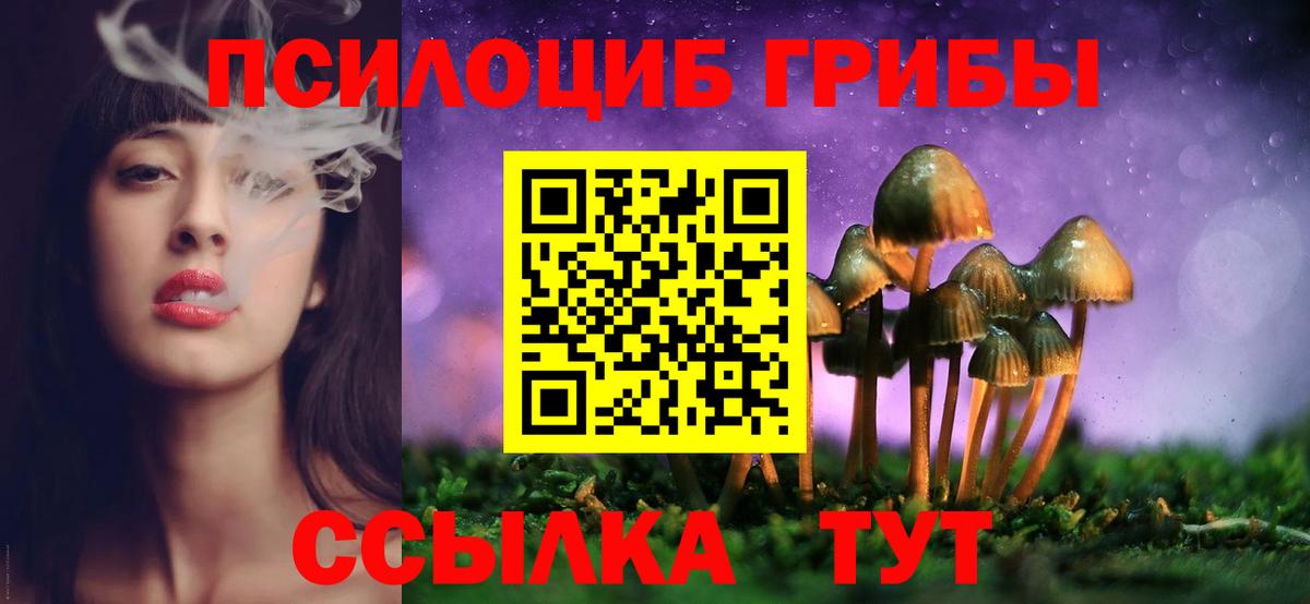 Псилоцибиновые грибы Psilocybe Усолье-Сибирское